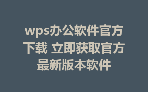 wps办公软件官方下载 立即获取官方最新版本软件