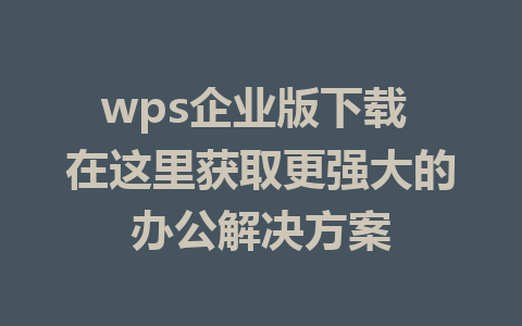 wps企业版下载 在这里获取更强大的办公解决方案