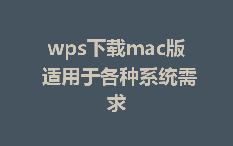 wps下载mac版 适用于各种系统需求 1 wps下载mac版 适用于各种系统需求